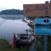 Sensation Baits  bojli, Széki tó 