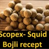 Scopex Squid bojli recept 