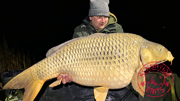 23 kilós ponty November végén a fagyból ! 